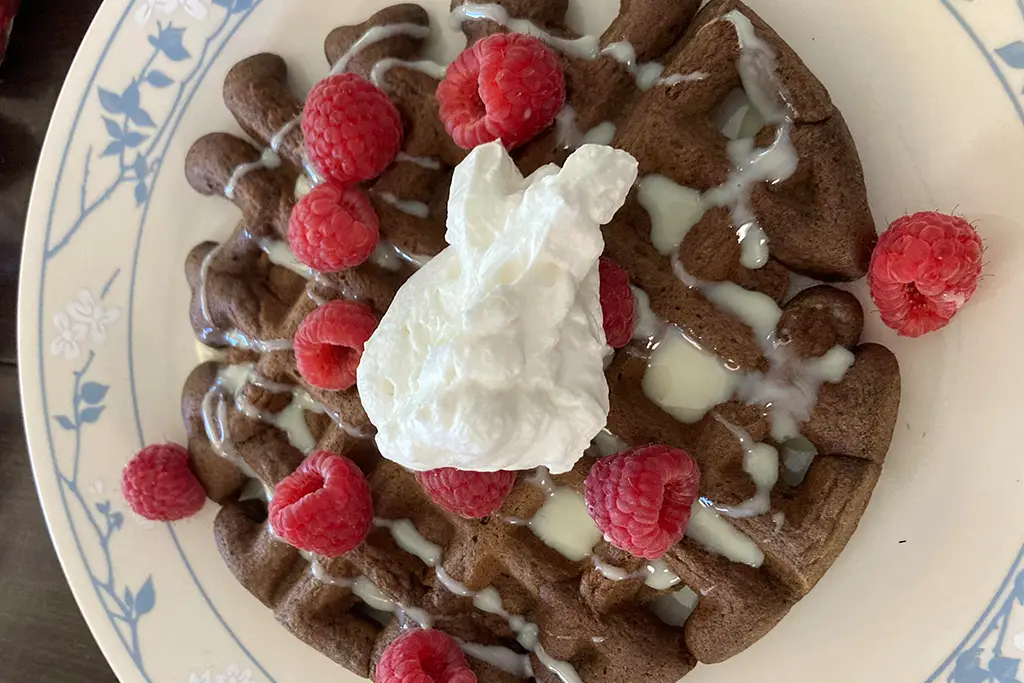 chocolate waffle